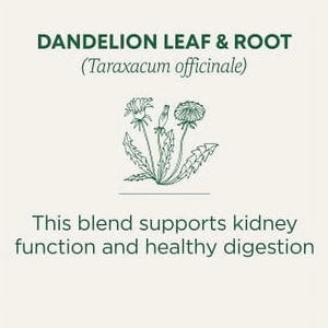 Traditional Medicinals Organic Dandelion Leaf & Root Herbal Supplement, 16 Count, .99 Oz