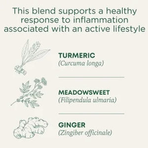 Traditional Medicinals, Organic Turmeric with Meadowsweet & Ginger Herbal Tea Bags, 16 Count