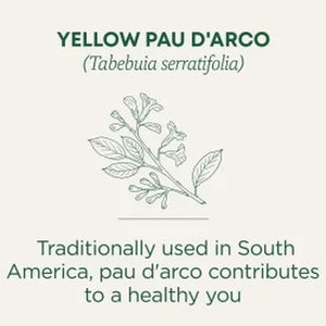 Traditional Medicinals Tea, Yellow Pau D'Arco, Tea Bags, 16 Ct