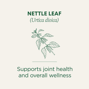Traditional Medicinal Nettle Leaf, Organic Tea Bags, 16 Count