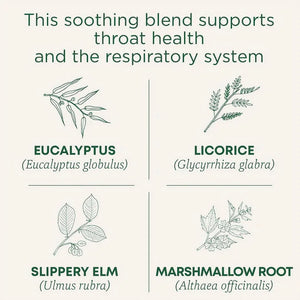 Traditional Medicinals Tea, Organic Throat Coat Eucalyptus, Tea Bags, 16 Count