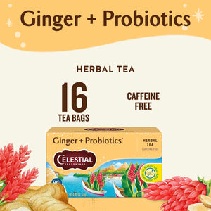 Celestial Seasonings Ginger Probiotics Caffeine-Free Herbal Tea Bags (16 Count)