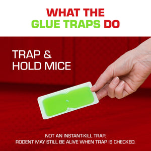 Tomcat Super Hold Glue Traps Mouse Size, 4 Traps, 2-Pack