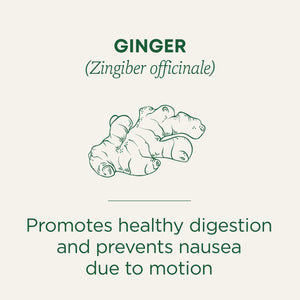 Traditional Medicinal Ginger, Organic Tea Bags, 16 Count