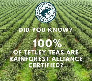 Tetley Classic Blend Rich Black Tea, 100 Count Tea Bags