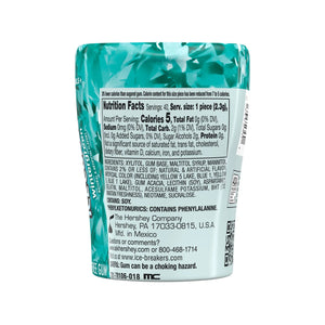 Ice Breakers Ice Cubes Wintergreen Sugar Free Chewing Gum, Bottle 3.24 Oz, 40 Pieces