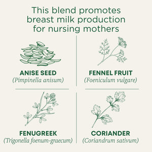Traditional Medicinal Mother'S Milk, Organic Tea Bags, 16 Count