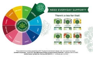 Traditional Medicinals Organic Dandelion Leaf & Root Herbal Supplement, 16 Count, .99 Oz