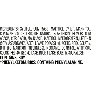 ICE BREAKERS Ice Cubes Frozen Berry Blast Sugar Free Chewing Gum Bottle, 3.24 Oz (40 Pieces)