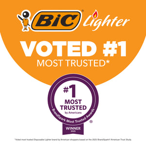 BIC EZ Reach Lighter, Home Décor