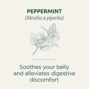 Traditional Medicinals Tea, Organic Peppermint, Tea Bags, 16 Count