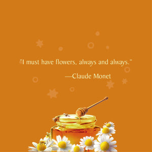 Celestial Seasonings Honey Vanilla Chamomile Caffeine-Free Herbal Tea Bags (20 Count)