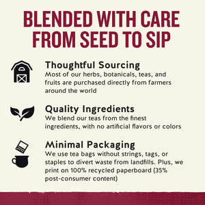 Celestial Seasonings Cinnamon Apple Spice Caffeine-Free Herbal Tea Bags (20 Count)