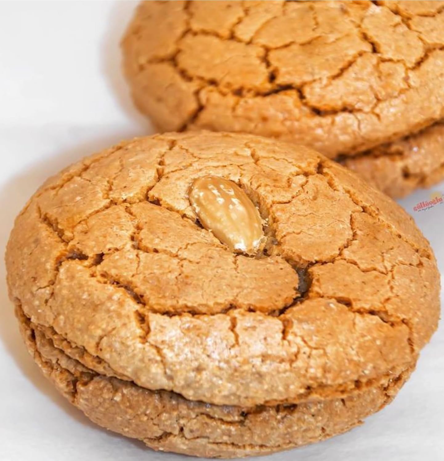 Famguards Marzipan Turkish Cookie Double Pieces 5 LB