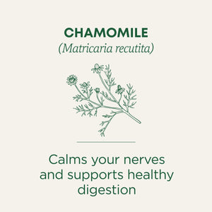 Traditional Medicinal Chamomile, Herbal Tea Bags, 16 Count