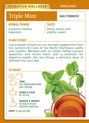 Traditional Medicinals Triple Mint, Tea Bags, 16 Ct