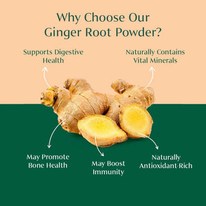 VAHDAM, Organic Ginger Powder (2.47Oz) Non-Gmo, Made from 100% Raw Ginger Root, Direct from Source
