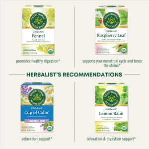 Traditional Medicinal Mother'S Milk, Organic Tea Bags, 16 Count