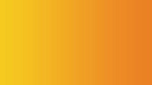 BIC Classic Lighter, Assorted Colors, 14-Pack of Pocket Lighters, Safe And