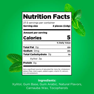 PUR Gum, Aspartame Free, Sugar Free & 100% Xylitol, Spearmint Chewing Gum, 55 Pieces, Pack of 1