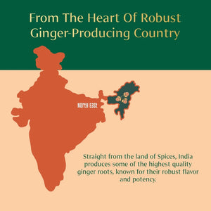 VAHDAM, Organic Ginger Powder (2.47Oz) Non-Gmo, Made from 100% Raw Ginger Root, Direct from Source
