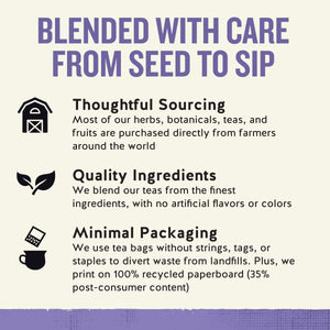 Celestial Seasonings Sleepytime Wellness Sinus Soother Herbal Tea Bags (20 Count)