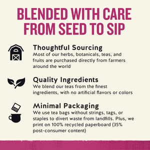 Celestial Seasonings Sleepytime Wellness Echinacea Immune Support Herbal Tea Bags (20 Count)