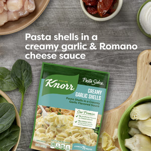 (4 pack ) Knorr No Artificial Flavors Creamy Garlic Spiral Pasta Cooks in 8 Minutes , 4.4 Oz Regular Pouch