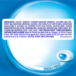 Mentos Gum Sugar-Free  Mint Chewing Gum, 50 Regular Size Pieces, Bottle