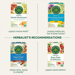Traditional Medicinal Nettle Leaf, Organic Tea Bags, 16 Count