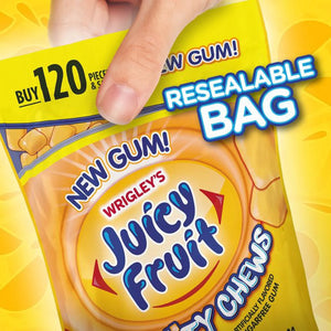 Juicy Fruit Chewing Gum, Value Pack - 120 Count Bulk Gum Bag