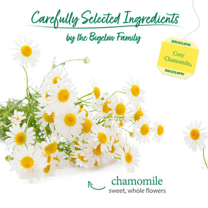 Bigelow Cozy Chamomile Herbal Tea Bags, 20 Count