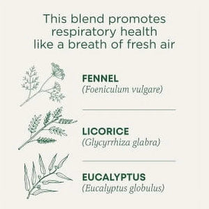 Traditional Medicinals Tea, Breathe Easy, Tea Bags, 16 Count