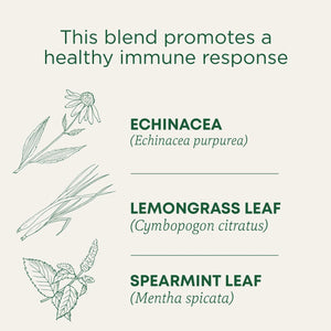 Traditional Medicinals Tea, Organic Echinacea Plus, Tea Bags, 16 Count