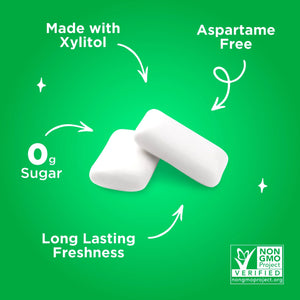 PUR Gum, Aspartame Free, Sugar Free & 100% Xylitol, Spearmint Chewing Gum, 55 Pieces, Pack of 1