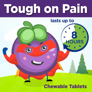 2 PK Children's Ibuprofen Ages 2-11 Pain + Fever & Pain Relief, 2 x 24 Chewable Tablets | compare to Children's Motrin Active Ingredients | Total 48 Chewable Tablets