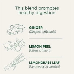 Traditional Medicinal Lemon Ginger, Caffeine-Free Tea Bags, 16 Count