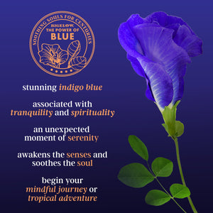 Bigelow Butterfly Pea Flower Sapphire Bay, Herbal Tea, Tea Bags, 18 Count