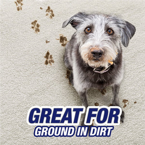 Resolve Pet Expert High Traffic Area, Carpet Foam, 22 Oz (Pack of 2)