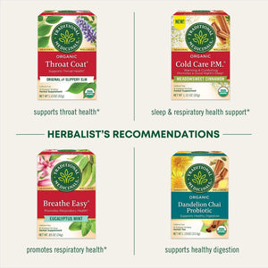 Traditional Medicinals Tea, Organic Echinacea Plus, Tea Bags, 16 Count